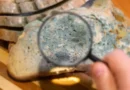 AI worms and 'digital slime mold': Welcome to the next AI nightmare fuel