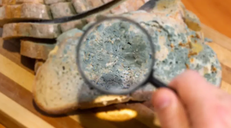 AI worms and 'digital slime mold': Welcome to the next AI nightmare fuel