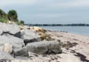 As a Florida native, I skip Tampa's crowded beaches for this beautiful, lesser-visited spot