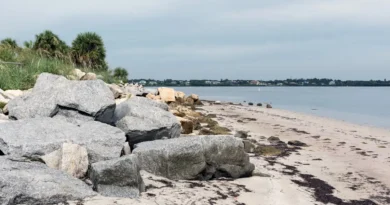 As a Florida native, I skip Tampa's crowded beaches for this beautiful, lesser-visited spot