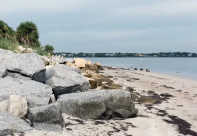As a Florida native, I skip Tampa's crowded beaches for this beautiful, lesser-visited spot
