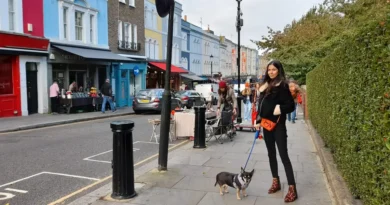 At first, moving to the UK felt like a dream come true. Five years in, I realized it wasn't for me.