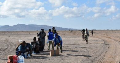 At least 139 migrants dead, including some children, after boat from Djibouti to Yemen capsizes, UN agency says