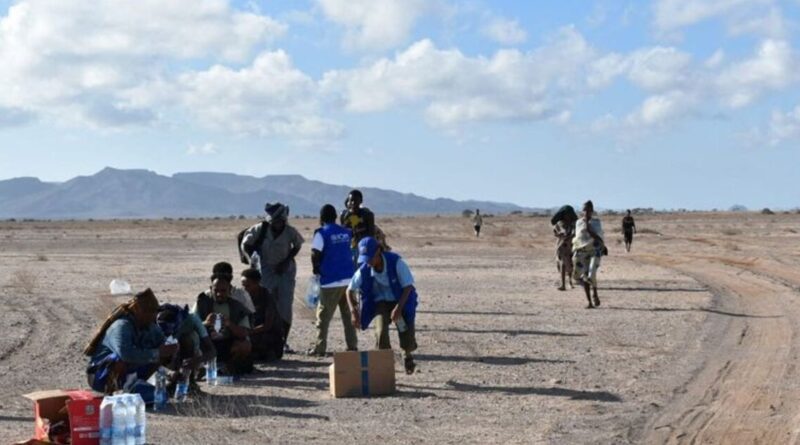 At least 139 migrants dead, including some children, after boat from Djibouti to Yemen capsizes, UN agency says