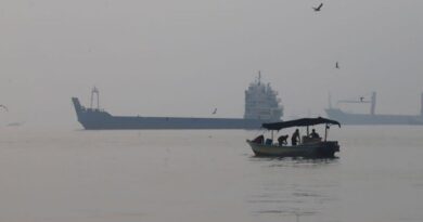 Attacks on tankers in Hormuz hit highest of any week since start of Iran war, sources say