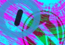 WordPress and Automattic logos with abstract background