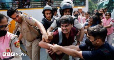 CJP at Jantar Mantar: 'Cockroach' group says leaders detained at Delhi protest A man is being held by men in official uniforms as another man grapples with them. More people are stood behind in pink uniforms holding other protesters.