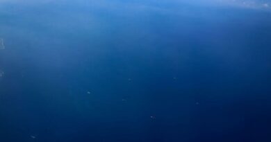 China, Djibouti say all countries should enjoy freedom of navigation in Red Sea