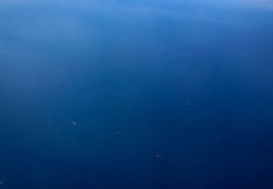 China, Djibouti say all countries should enjoy freedom of navigation in Red Sea
