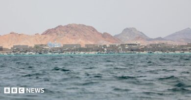 Djibouti boat capsize: Children among 109 dead with 116 still missing, UN says boat wreckage on the beach. A man wearing a white IOM tshirt, is standing to its right and is looking at it.