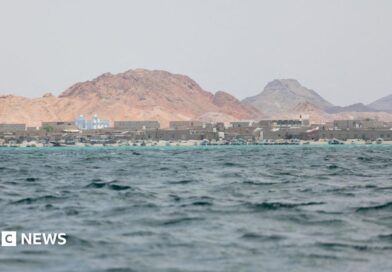 Djibouti boat capsize: Children among 109 dead with 116 still missing, UN says boat wreckage on the beach. A man wearing a white IOM tshirt, is standing to its right and is looking at it.