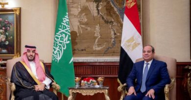 Egypt approves military support for Saudi Arabia after Houthi attacks escalate