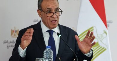 Egypt fears escalation in Iran war would be more destructive, foreign minister says