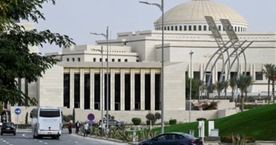 Egypt parliament authorises military support to Saudi Arabia