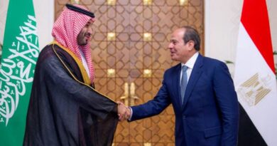 Egypt's Sisi says Saudi defence role would not include attack on Yemen