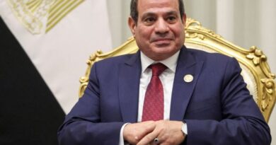 Egypt's Sisi seeks parliament's backing to help defend Saudi Arabia if asked