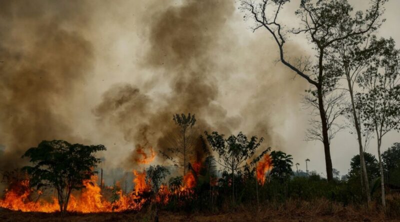 El Nino Watch: the impacts around the world this week