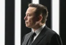 Elon Musk calls Waymos 'pet destroyers' and says Tesla's robotaxis won't run over kittens
