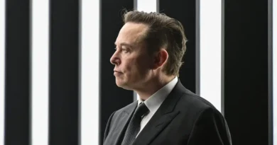 Elon Musk calls Waymos 'pet destroyers' and says Tesla's robotaxis won't run over kittens