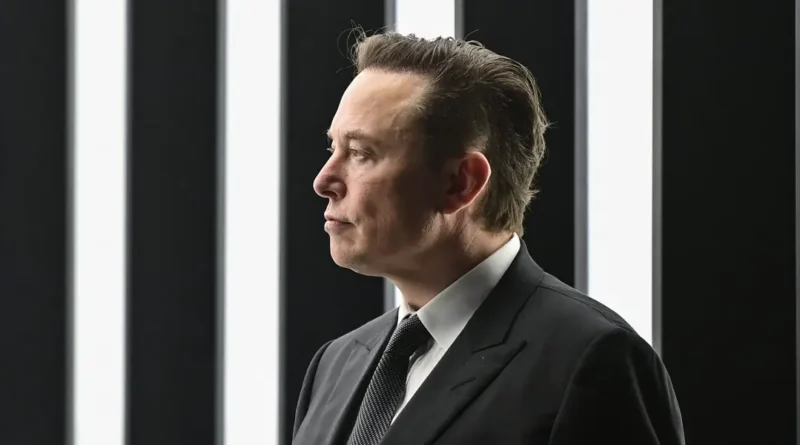 Elon Musk calls Waymos 'pet destroyers' and says Tesla's robotaxis won't run over kittens