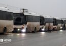 A row of white coaches are parked up on the side of the road
