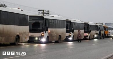 A row of white coaches are parked up on the side of the road