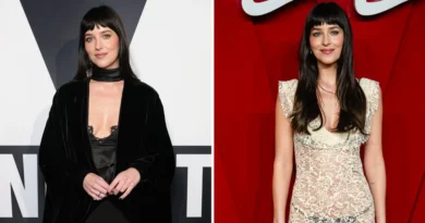 Everything Dakota Johnson has worn in 2026, ranked from least to most daring