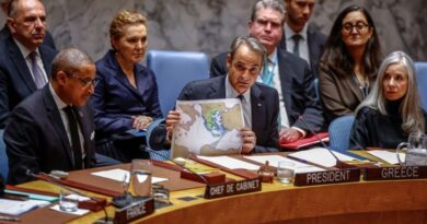 Exclusive-Greek PM calls Turkey-Libya maritime deal 'void;' calls for global truce after Black Sea attacks