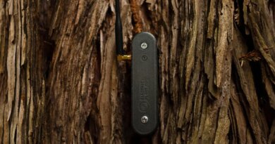 An electrical sensor is attached to a tree trunk.