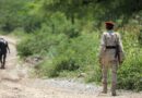 From Amaliqa to Houthis, here are main armed groups fighting in Yemen