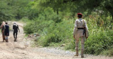 From Amaliqa to Houthis, here are main armed groups fighting in Yemen