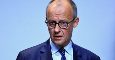 Germany's Merz to relay Asian partners' protectionism concerns to Brussels