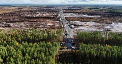 Google told to halt work on Finnish data centers after clearing an estimated 250,000 trees before environmental review was done | Fortune