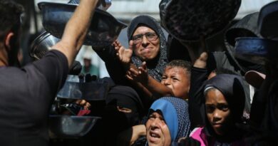 Hunger and malnutrition stalk Gazans, a year on from ceasefire