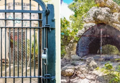 I explored the ruins of an abandoned zoo on the coast of Florida. It was overrun by nature, but eerie cages remained.