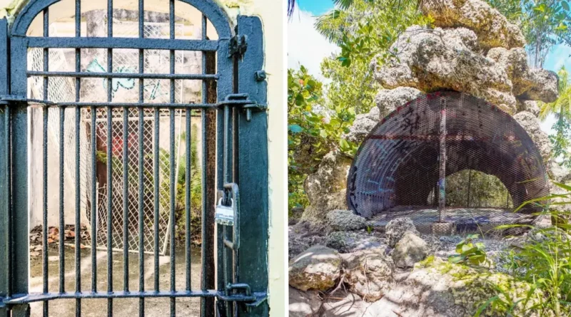 I explored the ruins of an abandoned zoo on the coast of Florida. It was overrun by nature, but eerie cages remained.