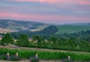 I thought Napa was the gold standard for wine trips. Then, a city in Washington changed what I look for in a vacation.