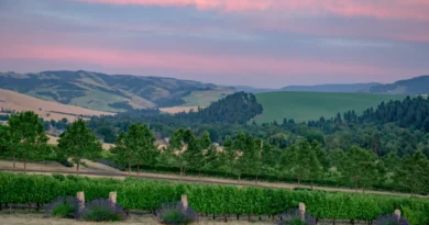 I thought Napa was the gold standard for wine trips. Then, a city in Washington changed what I look for in a vacation.
