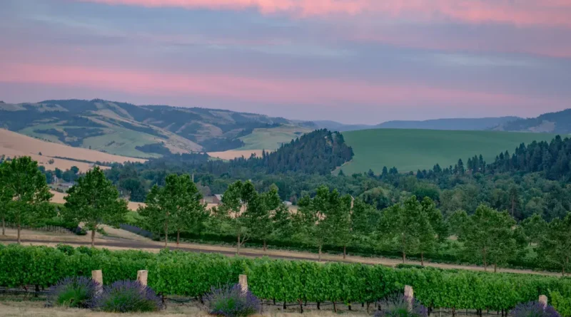 I thought Napa was the gold standard for wine trips. Then, a city in Washington changed what I look for in a vacation.