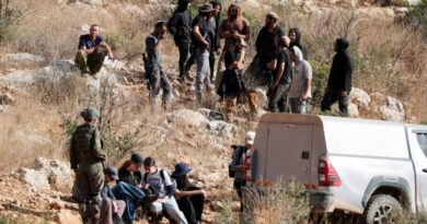 Italy calls for release of five activists held by Israel in West Bank