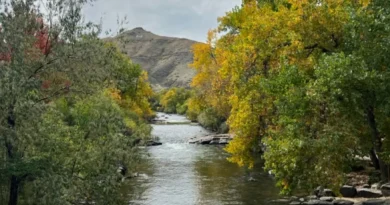 I'm a Colorado local. If I had one day to show you my state, I'd skip Denver and take you to a city just west of it.
