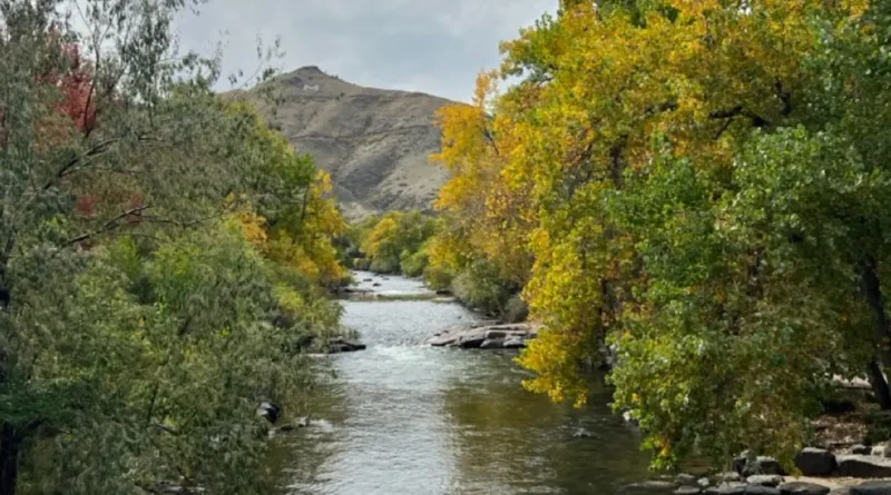 I'm a Colorado local. If I had one day to show you my state, I'd skip Denver and take you to a city just west of it.
