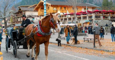 I've been to 3 Bavarian-style villages in the US. They're charming, but just one made me feel like I was in Germany.