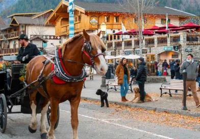 I've been to 3 Bavarian-style villages in the US. They're charming, but just one made me feel like I was in Germany.
