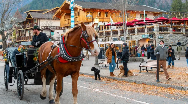 I've been to 3 Bavarian-style villages in the US. They're charming, but just one made me feel like I was in Germany.