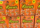 I've worked at Costco for 21 years. Here are 7 of the best things I'm seeing on shelves right now.