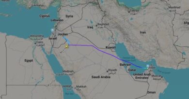 Like a 'vertical roller coaster': Simulating flight FZ1073's sudden plunge