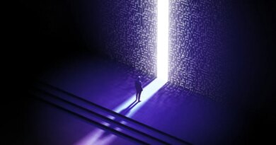 Lola Vision Systems is trying to make it easier to run AI models on chips | TechCrunch