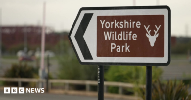 A brown sign outside Yorkshire Wildlife Park.