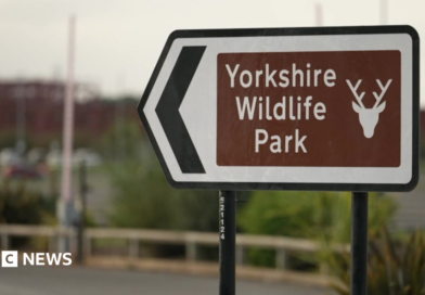 A brown sign outside Yorkshire Wildlife Park.